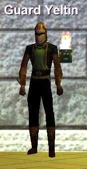 Guard Yeltin