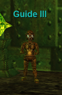 Guide III