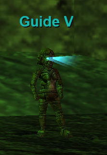 Guide V