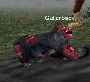 Gullerback