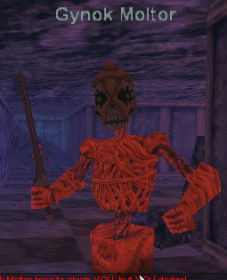 Gynok Moltor