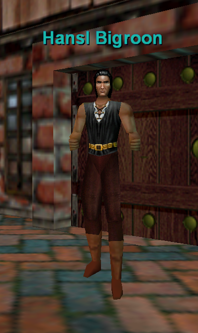 Hansl Bigroon[1]