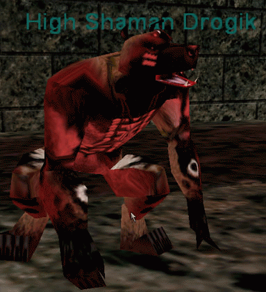 High Shaman Drogik