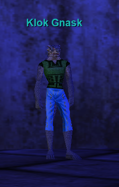 Klok Gnask