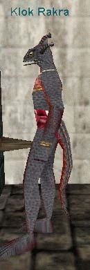 Klok Rakra