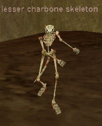 a lesser charbone skeleton