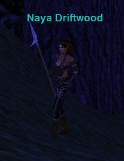 Naya Driftwood