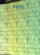 PASS