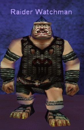 Raider Watchman