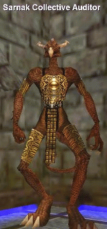 Sarnak Collective Auditor