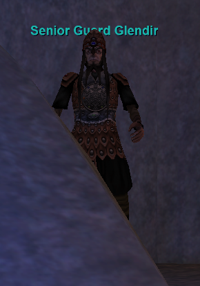 Senior Guard Glendir