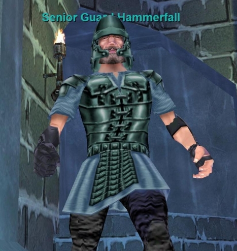 Senior Guard Hammerfall