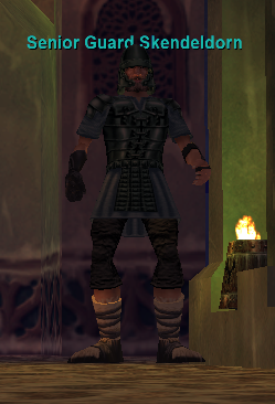 Senior Guard Skendeldorn