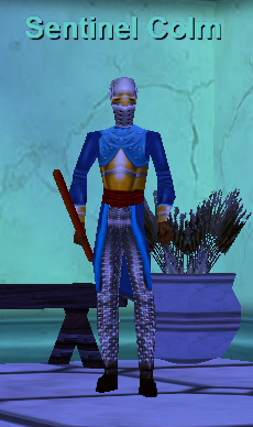 Sentinel Colm