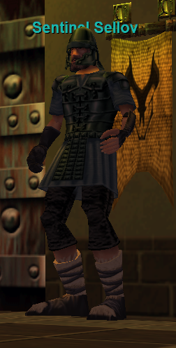 Sentinel Sellov