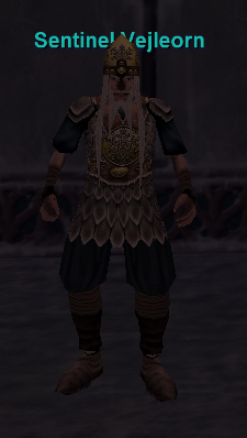 Sentinel Veljeorn
