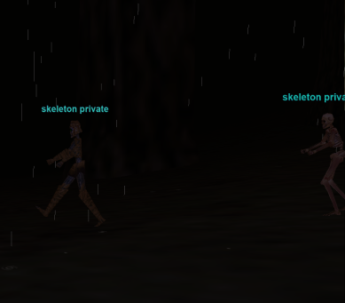skeleton private
