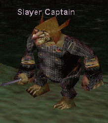 Slayer Captain