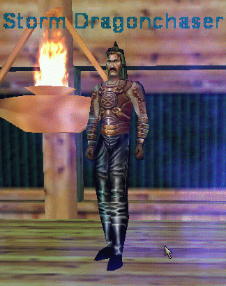 Storm Dragonchaser