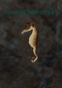 tainted seahorse