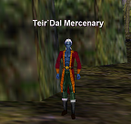 Teir`Dal Mercenary