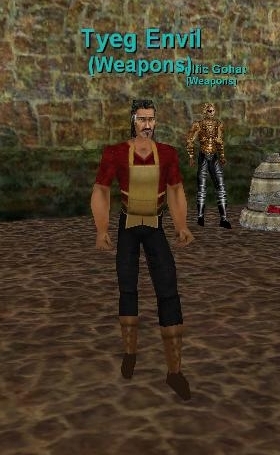 Tyeg Envil