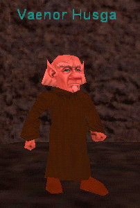 Vaenor Husga