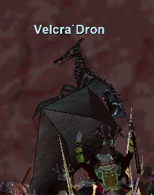 Velcra`Dron
