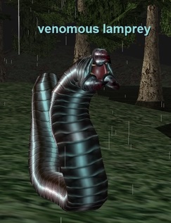 venomous lamprey