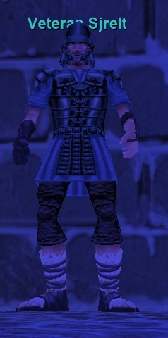 Veteran Sjrelt