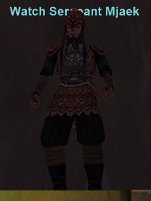 Watch Sergeant Mjaek