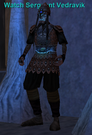 Watch Sergeant Vedravik