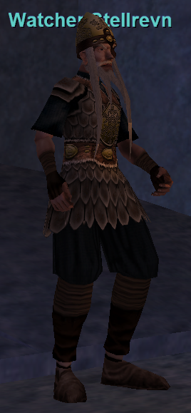 Watcher Stellrevn