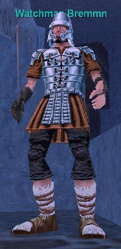 Watchman Bremmn