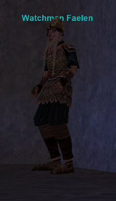 Watchman Faelen