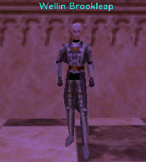 Wellin Brookleap