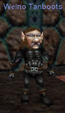 Welno Tanboots
