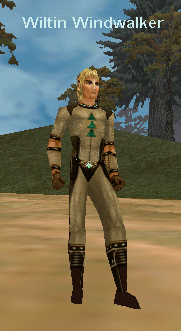 Wiltin Windwalker