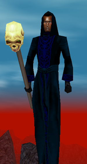 File:Sentry robe.png