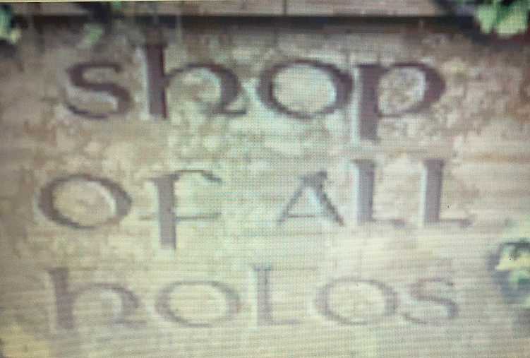Shop of All Holos.png