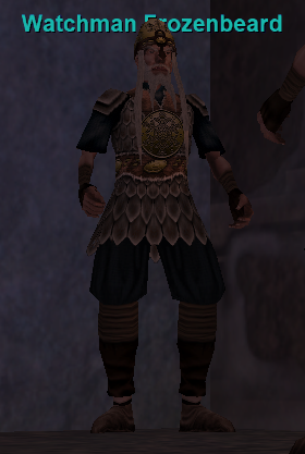 Watchman Frozenbeard