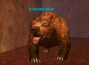 a Brown Bear
