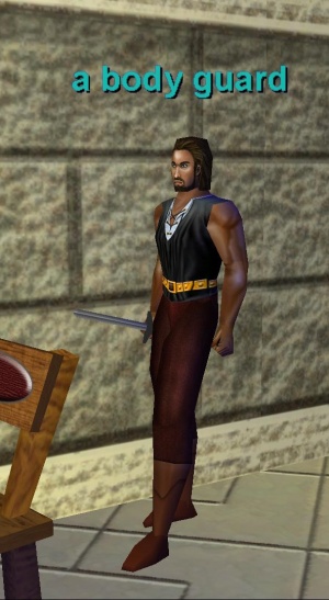 a body guard