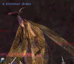 a shimmer drake