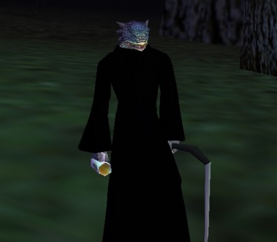 Iksar Male Wearing Robe of Enshroudment.jpg