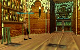 Kelethin tuviena 002.jpg