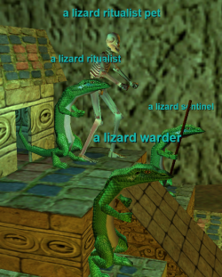 A Lizard Ritualist