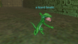 A Lizard Fanatic