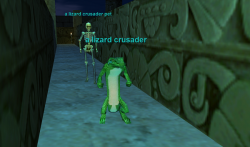 Npc a lizard crusader.png