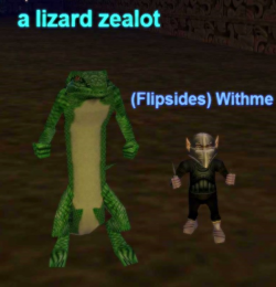 a lizard zealot
